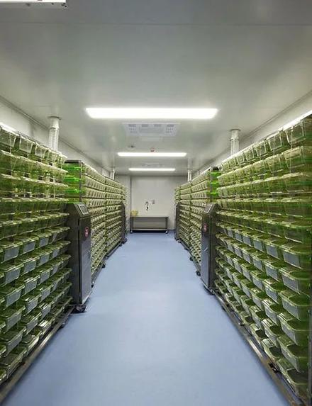 公司简介_武汉珞宾生命科技